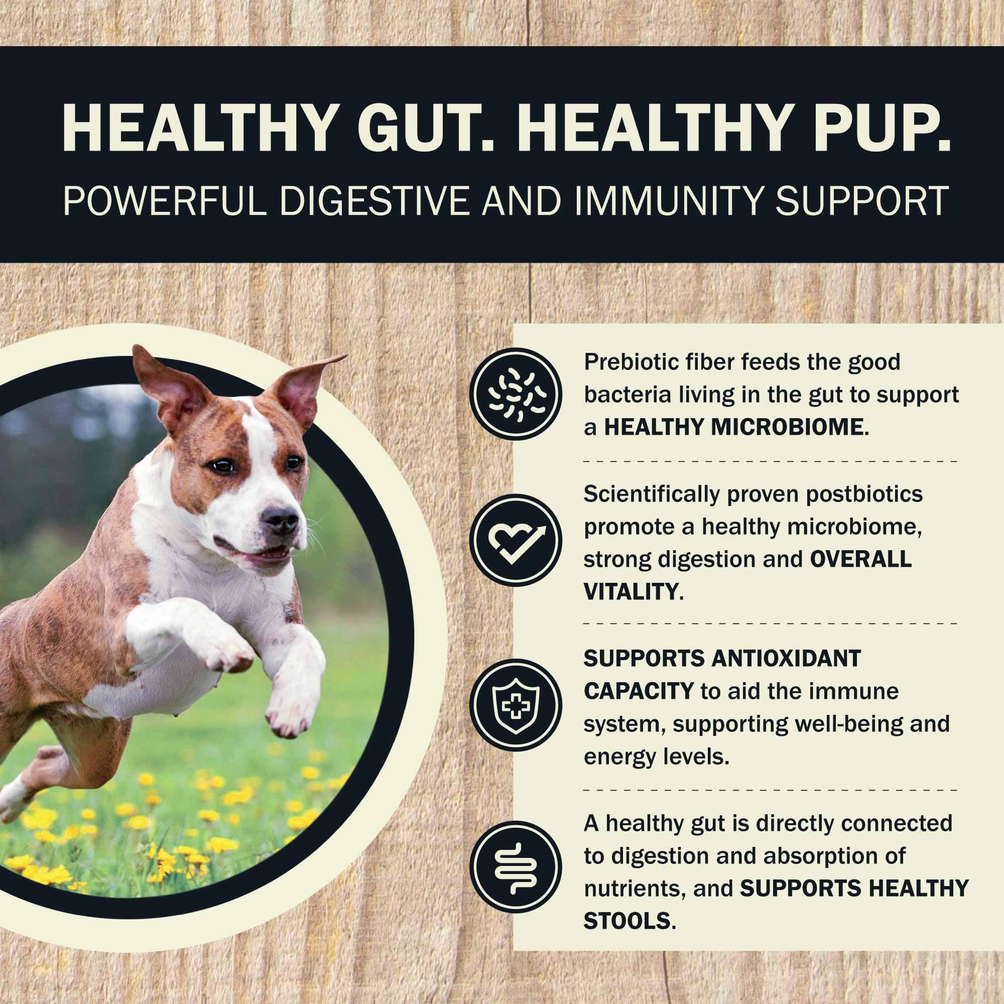 Air Dried Powerfood Digestive Health Beef & Lamb Recipe - Image 5